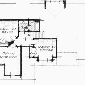 coneflower-second-level